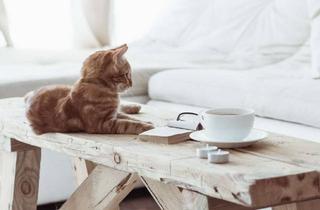 Wohnung kaufen in St. Ulrich Straße 26, 79189 Bad Krozingen, 3-Zimmer | Süd/West-Balkon | KfW-40 Neubau