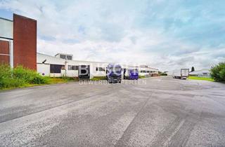 Gewerbeimmobilie mieten in 48565 Steinfurt, Steinfurt-Borghorst || 5.070 m² Lagerfläche ||Rampen || frei ab sofort