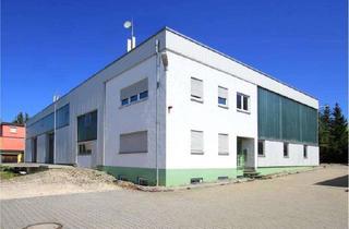 Gewerbeimmobilie mieten in 89160 Dornstadt, A8/B10 Top Verkehrslage/ Kranbahn/ 3 Rampen + ebenerdige Zufahrten
