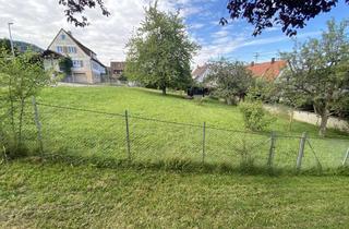 Grundstück zu kaufen in Auf Dem Hofacker, 72336 Balingen, Bauplatz ohne Bauzwang in Balingen-Zillhausen