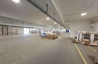 Gewerbeimmobilie mieten in 31177 Harsum, Logistikhalle in Harsum bei Hildesheim