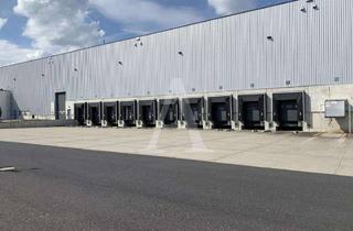Gewerbeimmobilie mieten in 49477 Ibbenbüren, LAGER-/ LOGISTIK IN IBBEBÜREN | WGK | 12,20 M UKB | 24/7