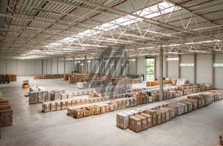 Büro zu mieten in 64579 Gernsheim, KEINE PROVISION ✓ NEUBAU ✓ AB 2025 ✓ WGK-3 ✓ Lager-/Logistik (10.000 m²) & Büro-/Sozial (500 m²)