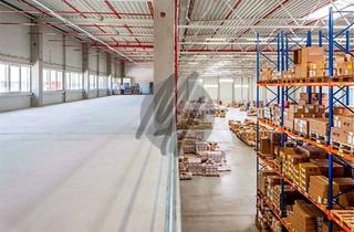 Büro zu mieten in 64579 Gernsheim, KEINE PROVISION ✓ NEUBAU ✓ AB 2025 ✓ WGK-3 ✓ Lager-/Logistik (20.000 m²) & Büro-/Sozial (1.000 m²)