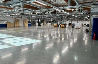 Gewerbeimmobilie mieten in Wiehlpuhl, 51766 Engelskirchen, Moderne Produktions- und Lagerflächen