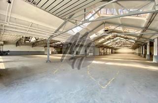 Büro zu mieten in 68519 Viernheim, KEINE PROVISION ✓ SOFORT VERFÜGBAR ✓ Lagerflächen (3.800 m²) & optional Büroflächen zu vermieten