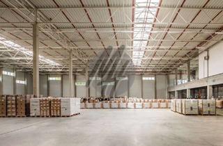 Büro zu mieten in 68647 Biblis, KEINE PROVISION ✓ NEUBAU ✓ AB 2025 ✓ WGK-3 ✓ Lager-/Logistik (30.000 m²) & Büro-/Sozial (1.500 m²)