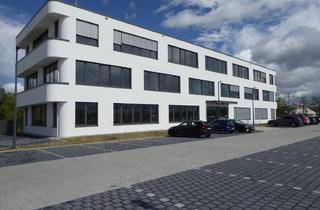Büro zu mieten in An Den Werften 11, 68782 Brühl, Moderne und hochwertige Büro- & Gewerbefläche