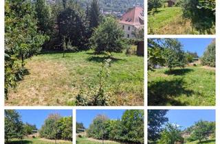 Grundstück zu kaufen in 98587 Steinbach-Hallenberg, Baugrundstück in ruhiger Lage von Steinbach-Hallenberg & top Aussicht