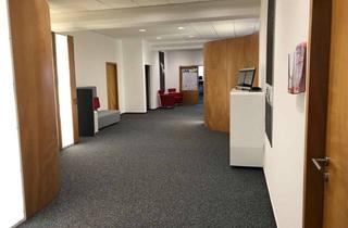 Büro zu mieten in Zum Murgdamm, 76456 Kuppenheim, Provisionsfreie, moderne Büroräume (234 m2) in traumhafter ruhiger Lage an der Murg