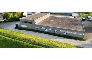 Büro zu mieten in Zum Murgdamm, 76456 Kuppenheim, Provisionsfreie, moderne Büroräume (234 m2) in traumhafter ruhiger Lage an der Murg