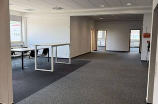 Büro zu mieten in Zum Murgdamm, 76456 Kuppenheim, Provisionsfreie, moderne Büroräume (234 m2) in idyllischer, ruhiger Lage an der Murg