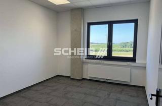 Büro zu mieten in 74532 Ilshofen, Einzelbüro, inklusive Internet, modern, Nähe A6