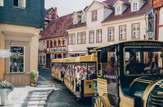 Gewerbeimmobilie kaufen in Hohe Straße 15, 06484 Quedlinburg, „Zwischen Schloss und Marktplatz - Hotel in Traumlage“