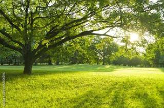 Grundstück zu kaufen in 63150 Heusenstamm, Attraktives Baugrundstück Heusenstamm