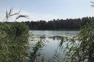 Anlageobjekt in 17159 Dargun, rentable Kapitalanlage, wenige Minuten zum Wasser!!!