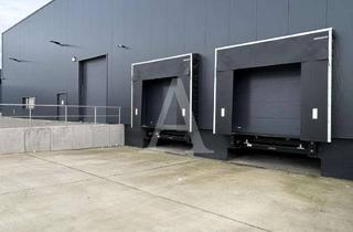 Gewerbeimmobilie mieten in 53577 Neustadt, *PROVISIONSFREI* | NEUBAU-LOGISTIK & PRODUKTION | MIETERSPEZIFISCH