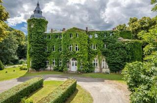 Haus kaufen in 18195 Selpin, Gutshaus, Nebengebäude und ca. 7,6 ha Park Wesselstorf - der Rückzugsort zum Leben und Arbeiten