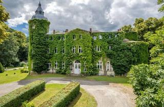 Haus kaufen in 18195 Selpin, Gutshaus, Nebengebäude und ca. 7,6 ha Park Wesselstorf