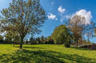Grundstück zu kaufen in Joachim-Herrmann-Ring 15, 06295 Lutherstadt Eisleben, Hier kann Ihr Traumhaus entstehen