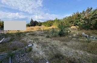 Gewerbeimmobilie kaufen in 14974 Ludwigsfelde, Industriepark Ludwigsfelde: gut gelegenes Gewerbe- und Industriegrundstück