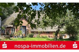 Haus kaufen in 25878 Drage, Denkmalgeschütztes Unikat: Landschaftstypisches Langhaus unter Reet mit Tenne und Terrasse