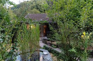 Haus kaufen in 76855 Annweiler, Annweiler am Trifels - ObjNr:19561 - Wohnen mitten im Wald in der Nähe von Annweiler!