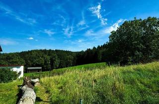 Grundstück zu kaufen in 93173 Wenzenbach, Beste Aussichten! Großzügiges Grundstück mit Blick ins Grüne