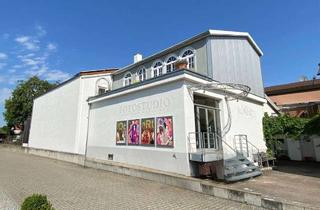 Loft kaufen in 74369 Löchgau, Wohnen und Arbeiten für Individualisten auf großer Fläche und im Loftcharakter