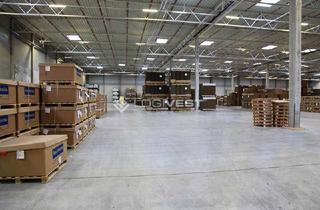 Büro zu mieten in 99817 Stadtmitte, Attraktive Logistikhalle mit Büroflächen und Gleisanschluss