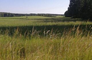 Grundstück zu kaufen in 95233 Helmbrechts, Wohnen in Helmbrechts in der Haa? Na, hoo!