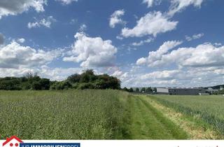 Grundstück zu kaufen in 35463 Fernwald, Bauerwartungsland in Fernwald-Annerod im Bereich "Haaracker / Im Himberg"
