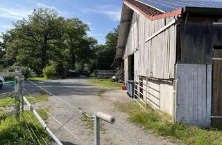 Immobilie mieten in 95336 Mainleus, Pferdehof zur Miete – Boxen und Wiesen in bester Lage