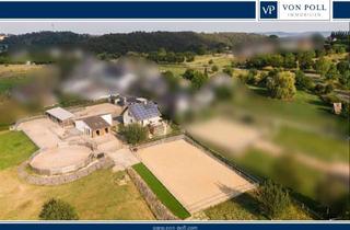 Einfamilienhaus kaufen in 56295 Lonnig, Helles Einfamilienhaus mit moderner Reitanlage