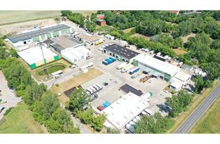 Büro zu mieten in Am Golfplatz, 14979 Großbeeren, Hallen ab 225 m², Freiflächen 1.300 m² und Büros ab 51 m²