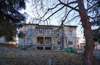 Villa kaufen in Herbert-Jentsch-Straße, 15234 Lebuser Vorstadt, Fabrikantenvilla sucht Investor