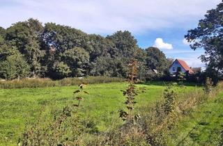 Grundstück zu kaufen in 18569 Schaprode, Reduziert ! Grundstück in Poggenhof auf Rügen zur Bebauung zu verkaufen