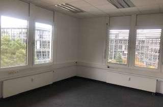 Büro zu mieten in Albert-Einstein-Ring, 14532 Kleinmachnow, Helle und schöne Bürofläche zur Vermietung mit guter Lage und Anbindung