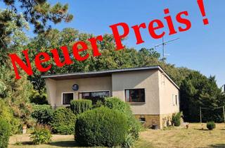 Haus kaufen in 14641 Paulinenaue, Raumwunder auf großem Grundstück in Paulinenaue