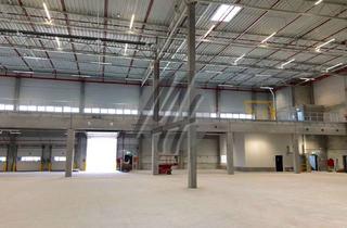 Büro zu mieten in 65479 Raunheim, NEUBAU ✓ 24/7 ✓ Lager-/Logistik (25.000 m²) & Büro-/Sozial (2.500 m²)