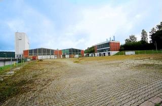 Gewerbeimmobilie mieten in 34537 Bad Wildungen, Freiflächen, Hallen uvm. in Bad Wildungen zu vermieten!