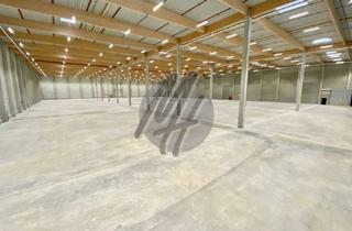Gewerbeimmobilie mieten in 65428 Rüsselsheim, PROVISIONSFREI ✓ LOGISTIK-NEUBAU ✓ 40.000 m² / teilbar ✓ viele Rampen ✓ 12 m Höhe ✓