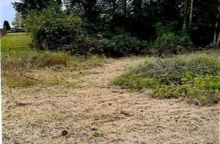 Grundstück zu kaufen in 23936 Mallentin, Großes Baugrundstück 1440 m² in Mallentin zu verkaufen!!