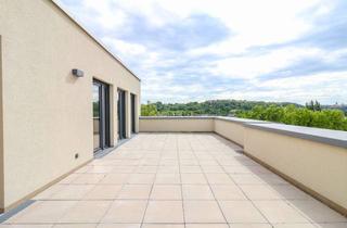 Penthouse mieten in Salinenstraße 4/6, 74177 Bad Friedrichshall, Penthouse-Traum in Erstbezug: stilvolle Dachgeschosswohnung mit Weitblick und großzügiger Terrasse