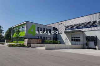 Gewerbeimmobilie mieten in 68799 Reilingen, Bis zu ca. 4.000 qm Lager- / Logistik- / Produktionsflächen | Rampe + ebenerdig | ca. 8,00 m UKB