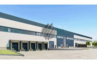 Büro zu mieten in 64832 Babenhausen, NEUBAU / ERSTBEZUG ✓ SCHNELL VERFÜGBAR ✓ Lager-/Logistik (5.000 m²) & Büro (500 m²)