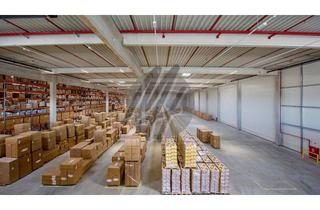 Büro zu mieten in 64832 Babenhausen, NEUBAU / ERSTBEZUG ✓ SCHNELL VERFÜGBAR ✓ Lager-/Logistik (11.000 m²) & Büro (700 m²)