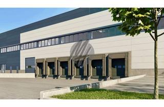 Büro zu mieten in 64807 Dieburg, NEUBAU / ERSTBEZUG ✓ SCHNELL VERFÜGBAR ✓ Lager-/Logistik (5.000 m²) & Büro (500 m²)