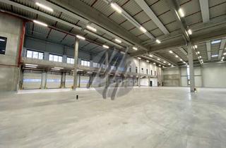 Büro zu mieten in 64807 Dieburg, KEINE PROVISION ✓ RAMPE + EBEN ✓ Lager-/Logistik (8.000 m²) & Büro (500 - 1.000 m²)