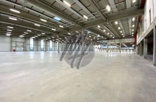 Büro zu mieten in 64807 Dieburg, KEINE PROVISION ✓ RAMPE + EBEN ✓ Lager-/Logistik (15.000 m²) & Büro (1.000 m²)
